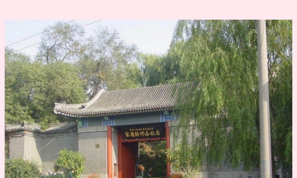 四年级语文下册 第七单元 第22课《宋庆龄故居的樟树》课件 苏教版-苏教版小学四年级下册语文课件