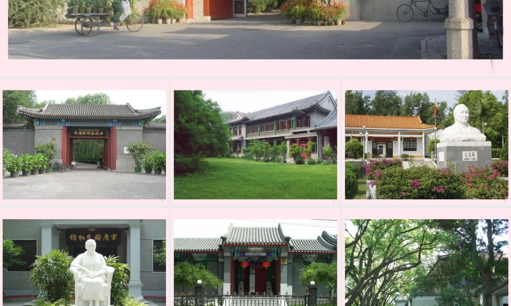 四年级语文下册 第七单元 第22课《宋庆龄故居的樟树》课件 苏教版-苏教版小学四年级下册语文课件