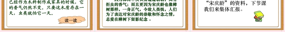 四年级语文下册 第七单元 第22课《宋庆龄故居的樟树》课件 苏教版-苏教版小学四年级下册语文课件