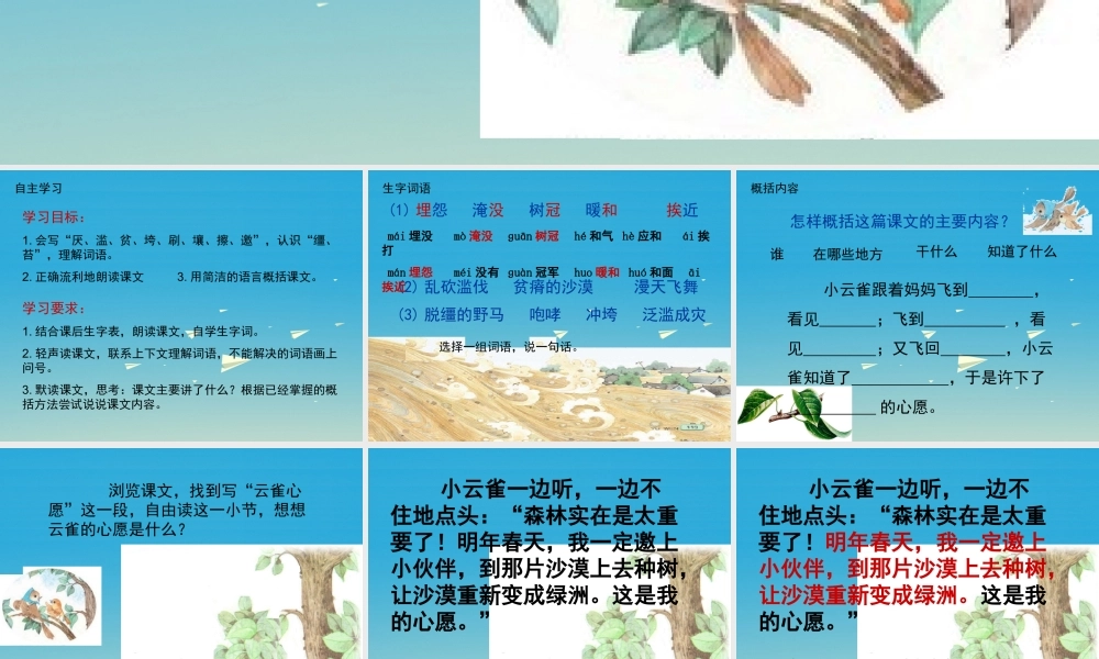 四年级语文下册 19《云雀的心愿》课件 苏教版-苏教版小学四年级下册语文课件