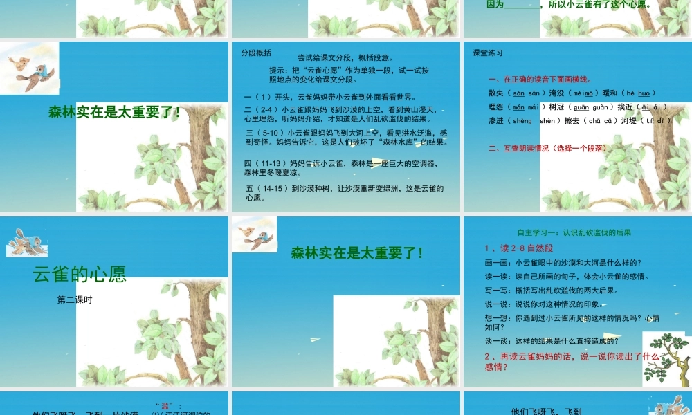 四年级语文下册 19《云雀的心愿》课件 苏教版-苏教版小学四年级下册语文课件
