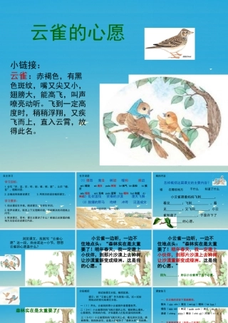 四年级语文下册 19《云雀的心愿》课件 苏教版-苏教版小学四年级下册语文课件