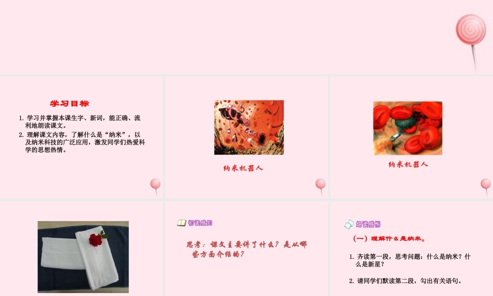 四年级语文下册 第七单元 第26课《纳米新星》课件 西师大版-西师大版小学四年级下册语文课件