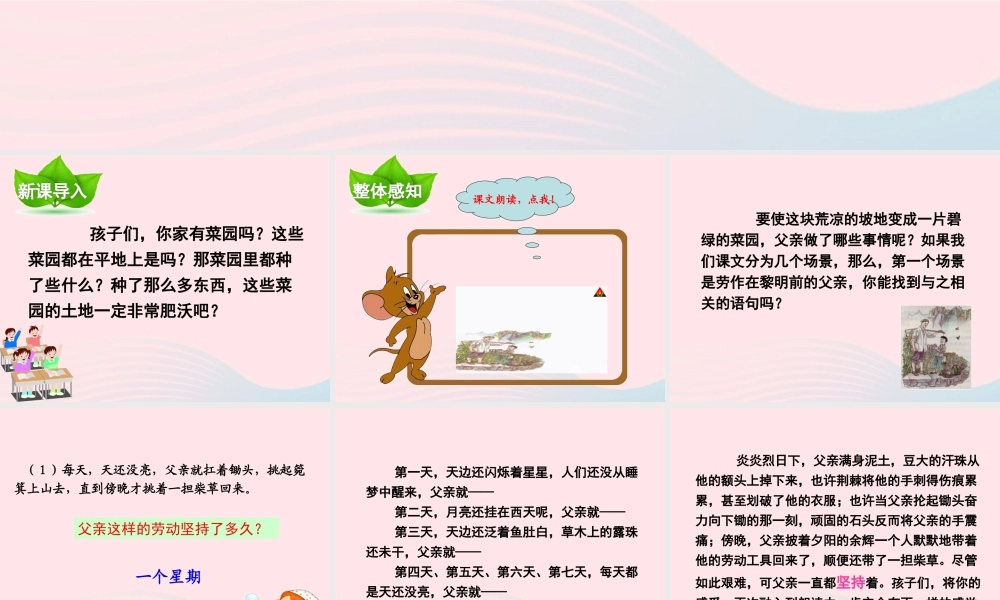 四年级语文下册 第七单元 第28课 父亲的菜园课件 新人教版-新人教版小学四年级下册语文课件