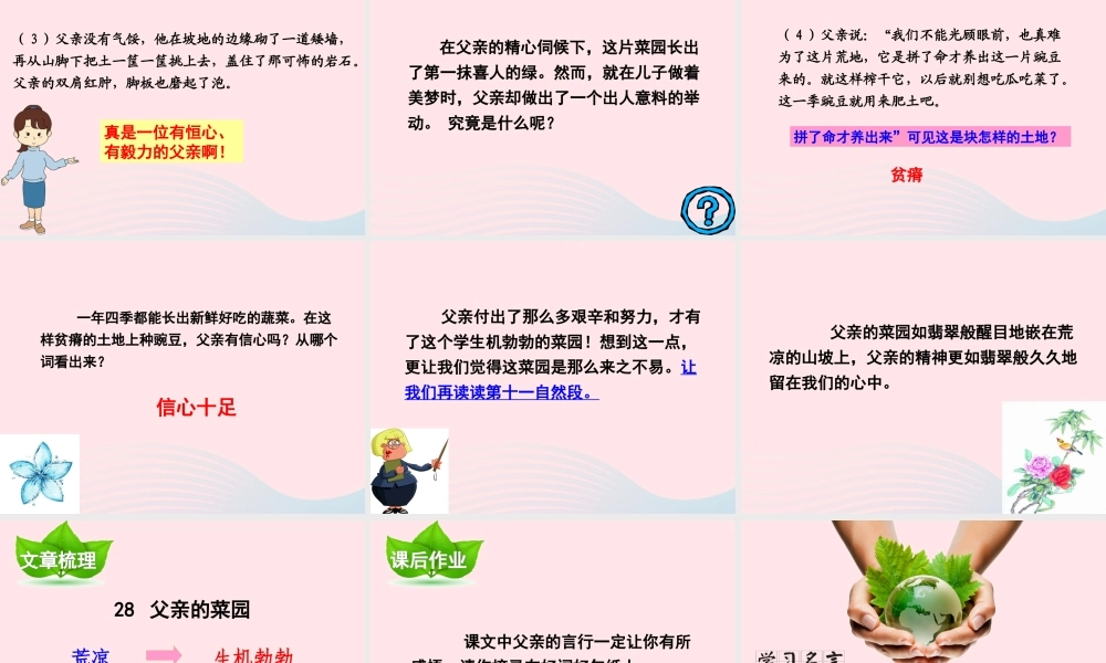 四年级语文下册 第七单元 第28课 父亲的菜园课件 新人教版-新人教版小学四年级下册语文课件