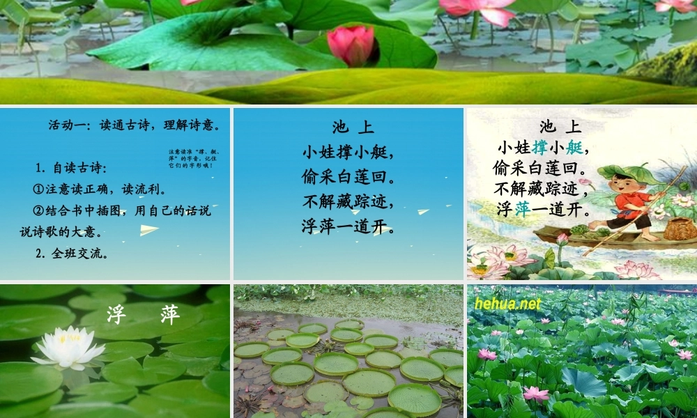 四年级语文下册 20《古诗两首》池上课件2 苏教版-苏教版小学四年级下册语文课件