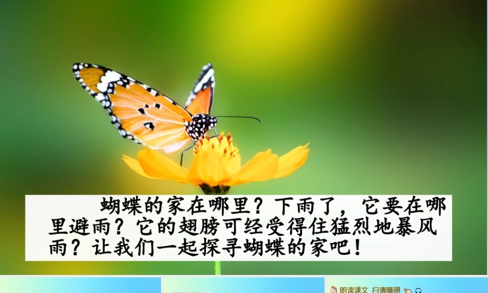 四年级语文上册 第二单元 8 《蝴蝶的家》公开课件 新人教版-新人教版小学四年级上册语文课件