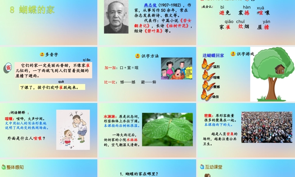 四年级语文上册 第二单元 8 《蝴蝶的家》公开课件 新人教版-新人教版小学四年级上册语文课件