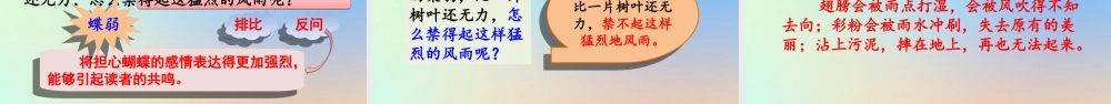 四年级语文上册 第二单元 8 《蝴蝶的家》公开课件 新人教版-新人教版小学四年级上册语文课件