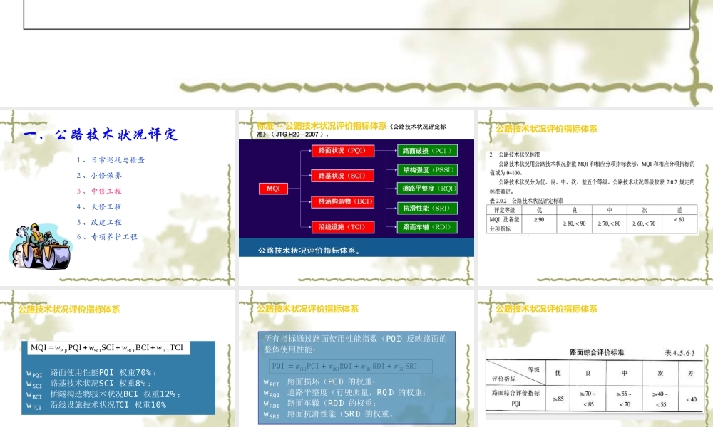 路面病害处治程序及标准