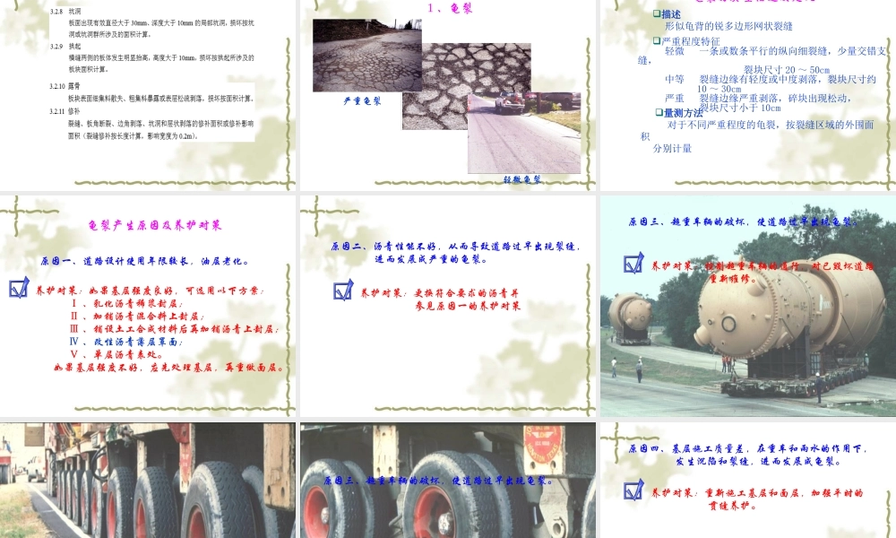 路面病害处治程序及标准