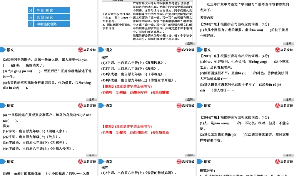 中考语文---第二节  字词积累