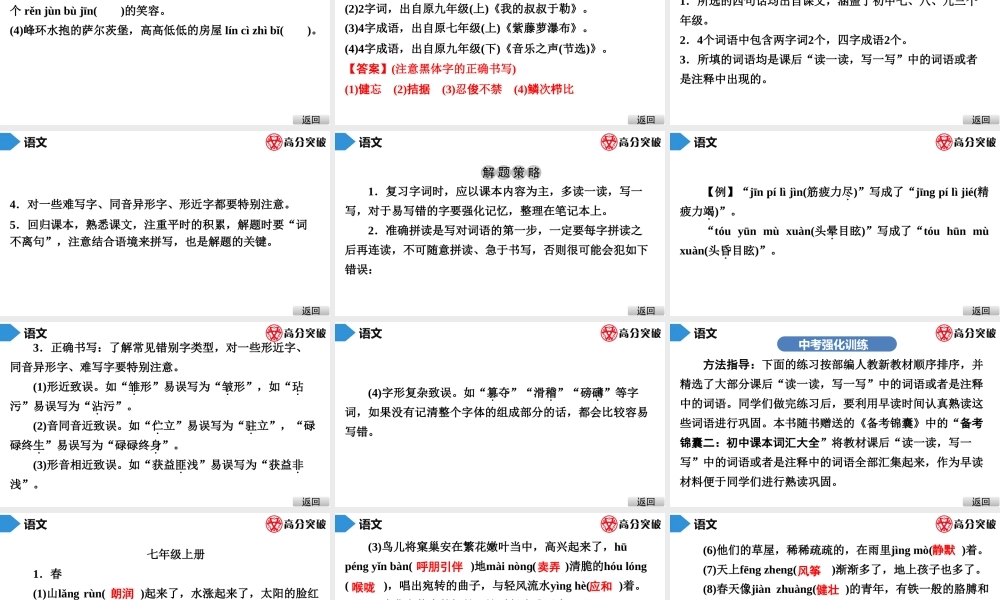 中考语文---第二节  字词积累