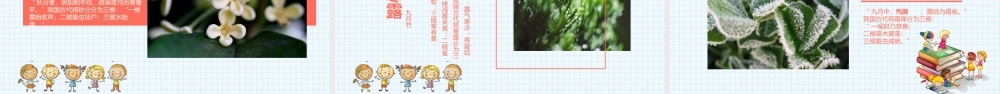 二十四节气主题班会