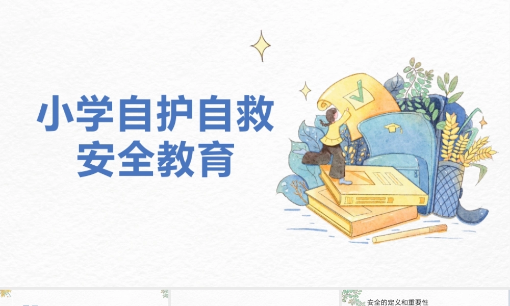 小学自护自救安全教育