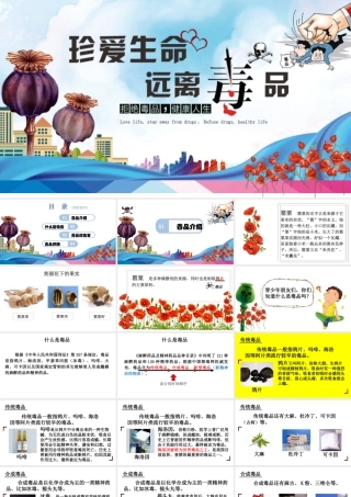 珍爱生命，远离毒品