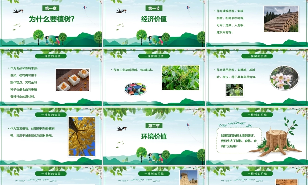 植树节主题班会