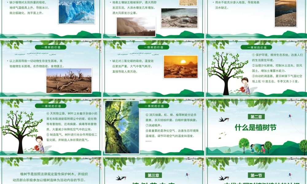 植树节主题班会