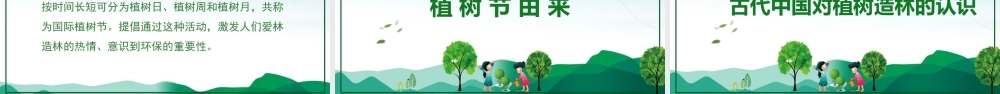 植树节主题班会