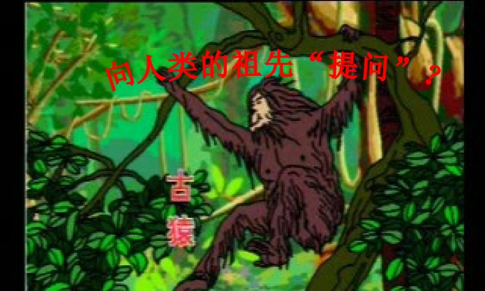 春六年级科学下册 1.1《向人类的祖先“提问”》课件2 大象版-大象版小学六年级下册自然科学课件