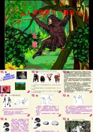 春六年级科学下册 1.1《向人类的祖先“提问”》课件2 大象版-大象版小学六年级下册自然科学课件