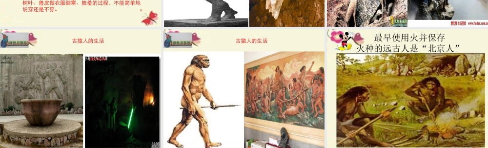 春六年级科学下册 1.2《追寻人类祖先的足迹》课件1 大象版-大象版小学六年级下册自然科学课件