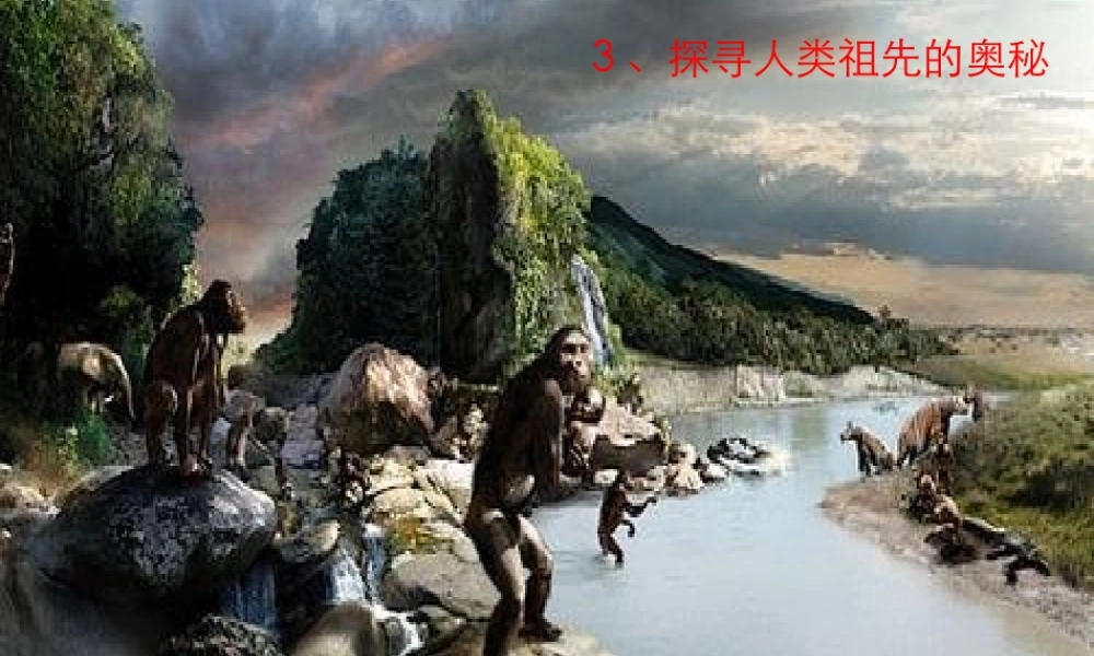 春六年级科学下册 1.3《探寻人类祖先的奥秘》课件1 大象版-大象版小学六年级下册自然科学课件