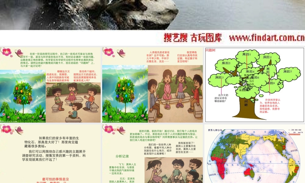 春六年级科学下册 1.3《探寻人类祖先的奥秘》课件1 大象版-大象版小学六年级下册自然科学课件