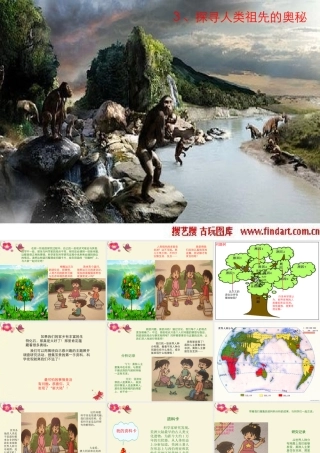 春六年级科学下册 1.3《探寻人类祖先的奥秘》课件1 大象版-大象版小学六年级下册自然科学课件