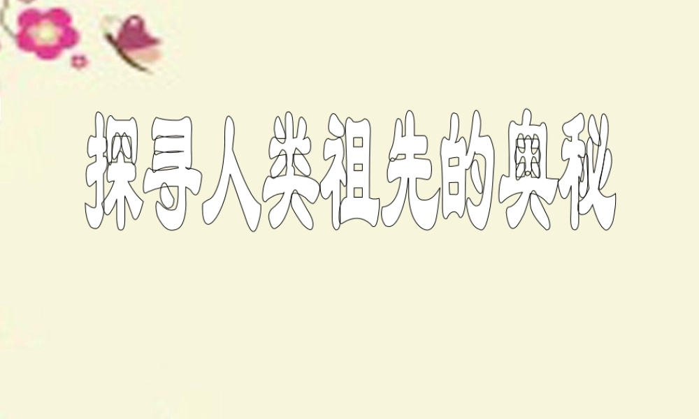 春六年级科学下册 1.3《探寻人类祖先的奥秘》课件2 大象版-大象版小学六年级下册自然科学课件