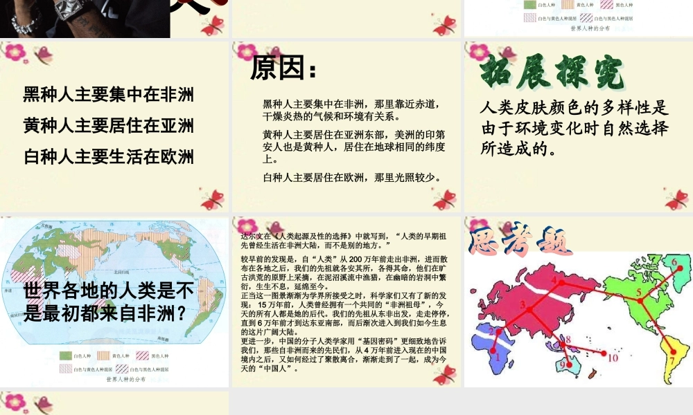 春六年级科学下册 1.3《探寻人类祖先的奥秘》课件2 大象版-大象版小学六年级下册自然科学课件