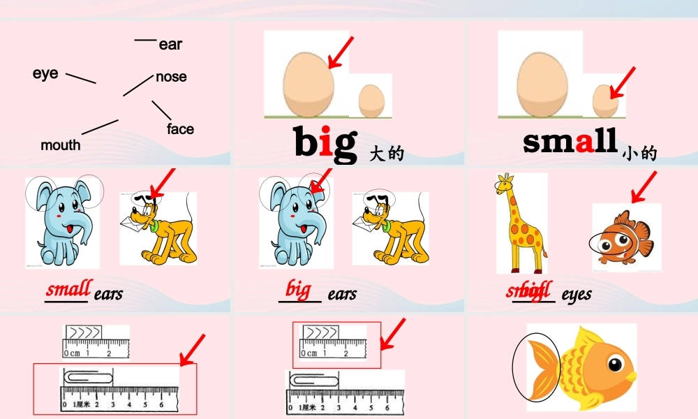 春三年级英语下册 Unit 3 At zhe zoo Part B Let’s learn教学课件 人教PEP-人教PEP小学三年级下册英语课件