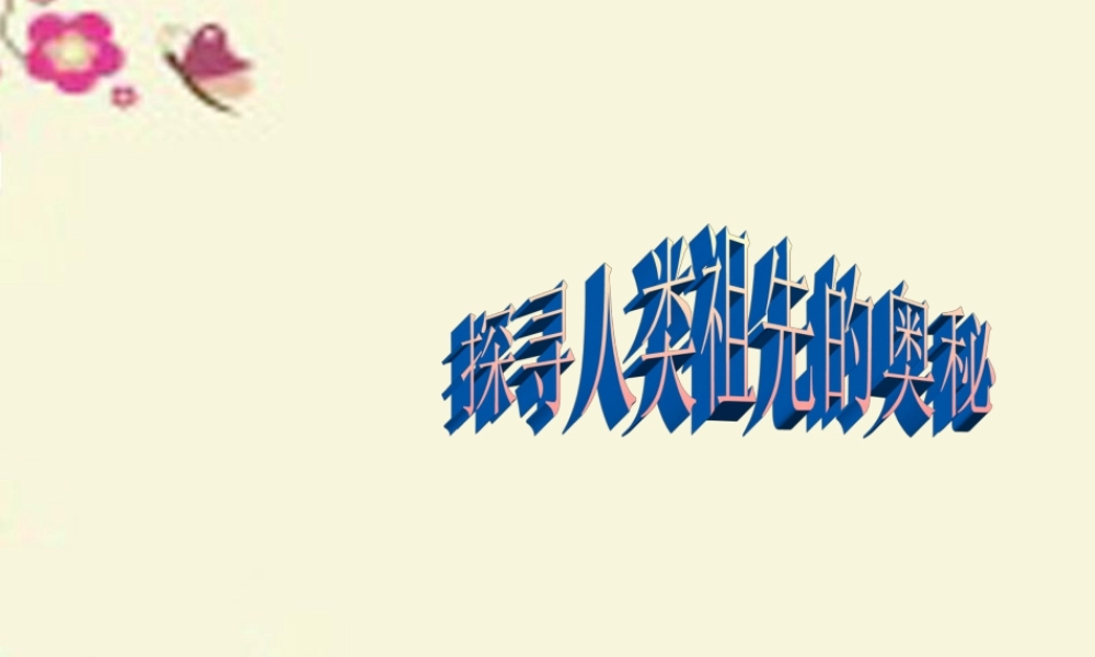 春六年级科学下册 1.3《探寻人类祖先的奥秘》课件3 大象版-大象版小学六年级下册自然科学课件