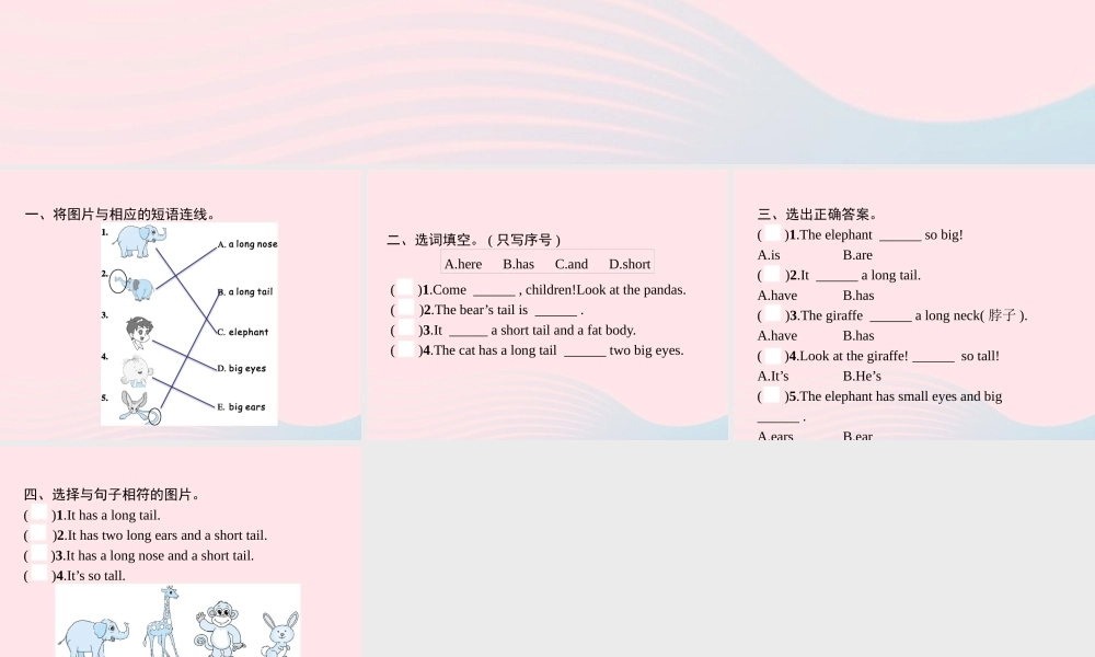 春三年级英语下册 Unit 3 At zhe zoo Part B Let’s talk Make a monster习题课件 人教PEP-人教PEP小学三年级下册英语课件