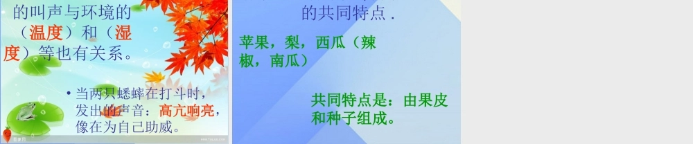 秋三年级科学上册 3.2《果实累累的季节》课件3 大象版-大象版小学三年级上册自然科学课件
