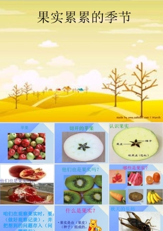 秋三年级科学上册 3.2《果实累累的季节》课件3 大象版-大象版小学三年级上册自然科学课件