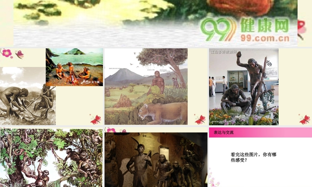 春六年级科学下册 1.4《展现人类祖先的生活画卷》课件2 大象版-大象版小学六年级下册自然科学课件