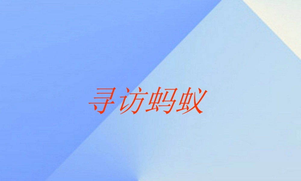 秋三年级科学上册 4.1《寻访蚂蚁》课件1 大象版-大象版小学三年级上册自然科学课件