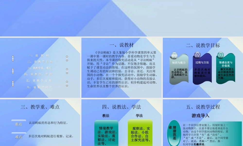 秋三年级科学上册 4.1《寻访蚂蚁》课件1 大象版-大象版小学三年级上册自然科学课件