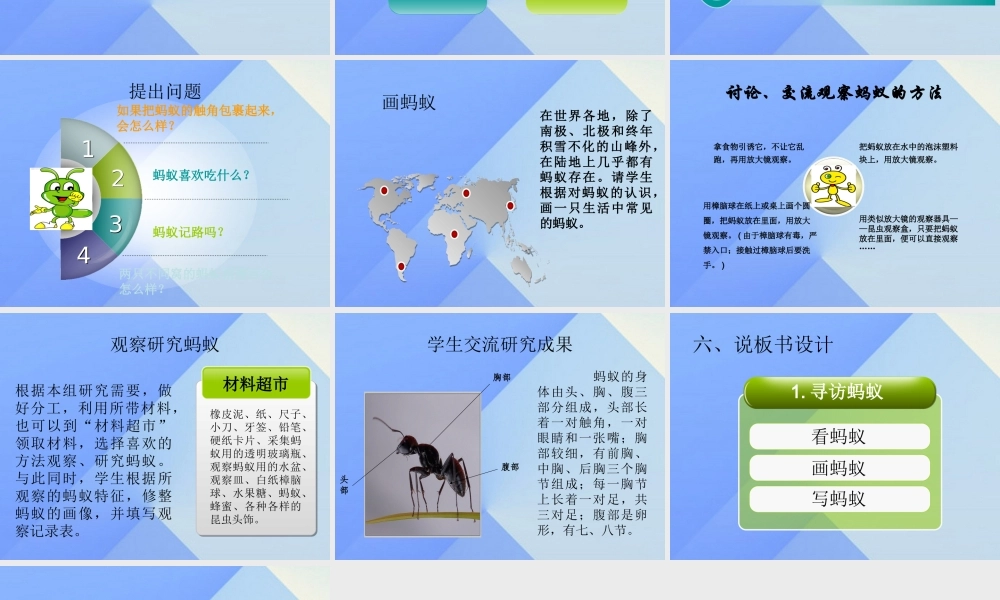 秋三年级科学上册 4.1《寻访蚂蚁》课件1 大象版-大象版小学三年级上册自然科学课件