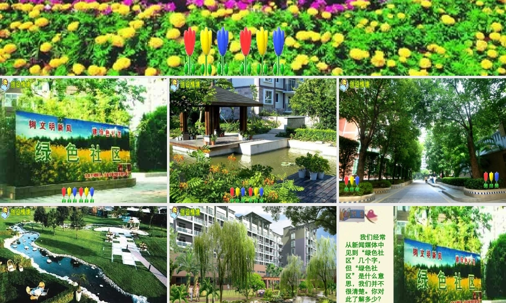 春六年级科学下册 2.1《我们心目中的绿色社区》课件1 大象版-大象版小学六年级下册自然科学课件