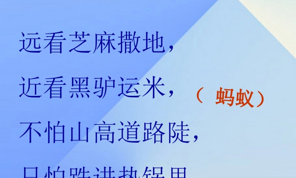 秋三年级科学上册 4.1《寻访蚂蚁》课件2 大象版-大象版小学三年级上册自然科学课件