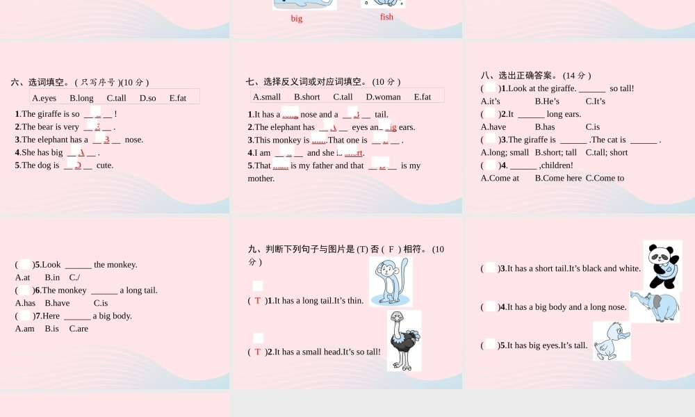 春三年级英语下册 Unit 3 At zhe zoo自测课件 人教PEP-人教PEP小学三年级下册英语课件