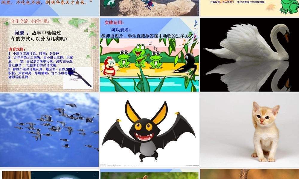 秋三年级科学上册 4.2《动物怎样过冬》课件1 大象版-大象版小学三年级上册自然科学课件