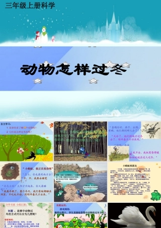 秋三年级科学上册 4.2《动物怎样过冬》课件1 大象版-大象版小学三年级上册自然科学课件