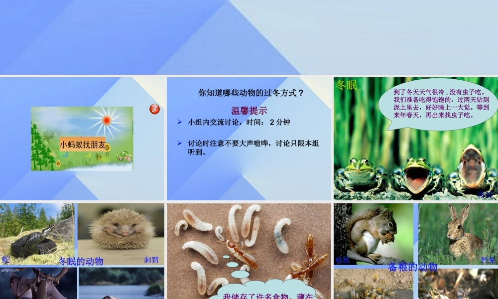 秋三年级科学上册 4.2《动物怎样过冬》课件2 大象版-大象版小学三年级上册自然科学课件