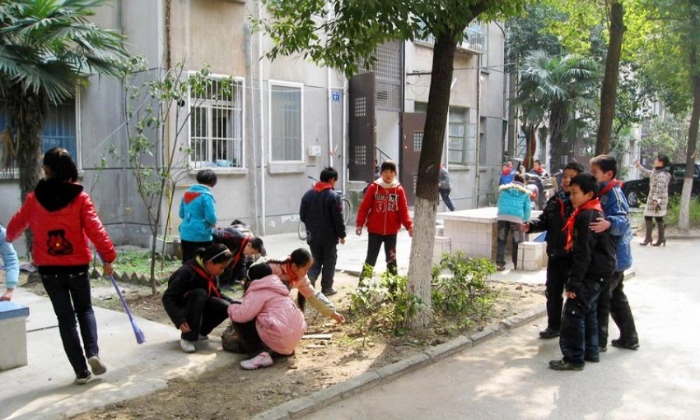 春六年级科学下册 2.3《调查小组在行动》课件2 大象版-大象版小学六年级下册自然科学课件