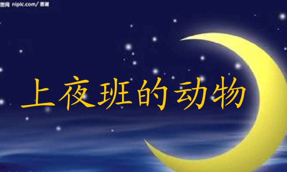 秋三年级科学上册 4.3《上夜班的动物》课件2 大象版-大象版小学三年级上册自然科学课件