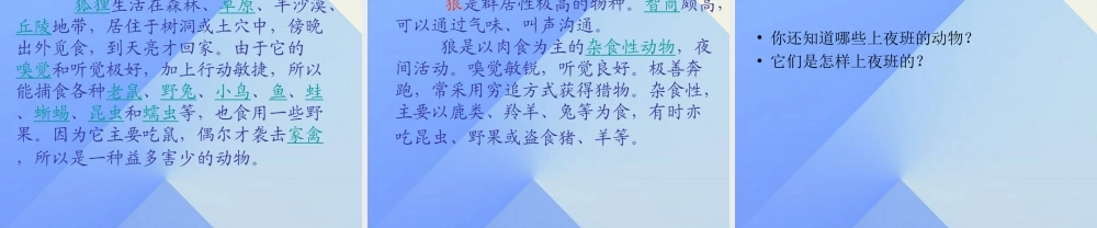 秋三年级科学上册 4.3《上夜班的动物》课件2 大象版-大象版小学三年级上册自然科学课件
