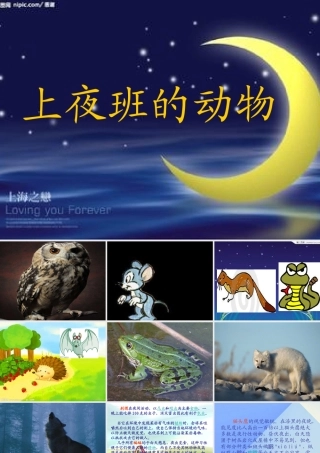 秋三年级科学上册 4.3《上夜班的动物》课件2 大象版-大象版小学三年级上册自然科学课件